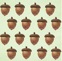 どんぐりクッキー